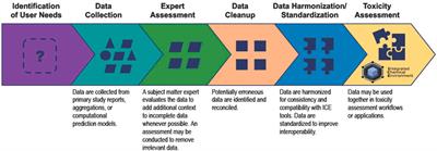 Data curation to support toxicity assessments using the Integrated Chemical Environment